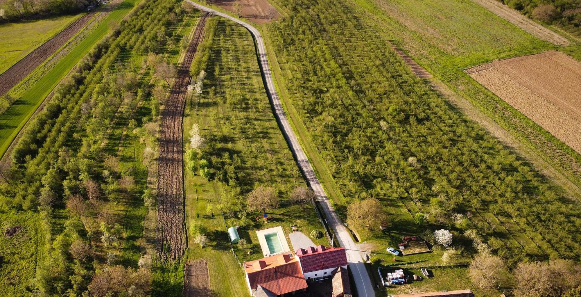 Sljivik Stari Brestovac